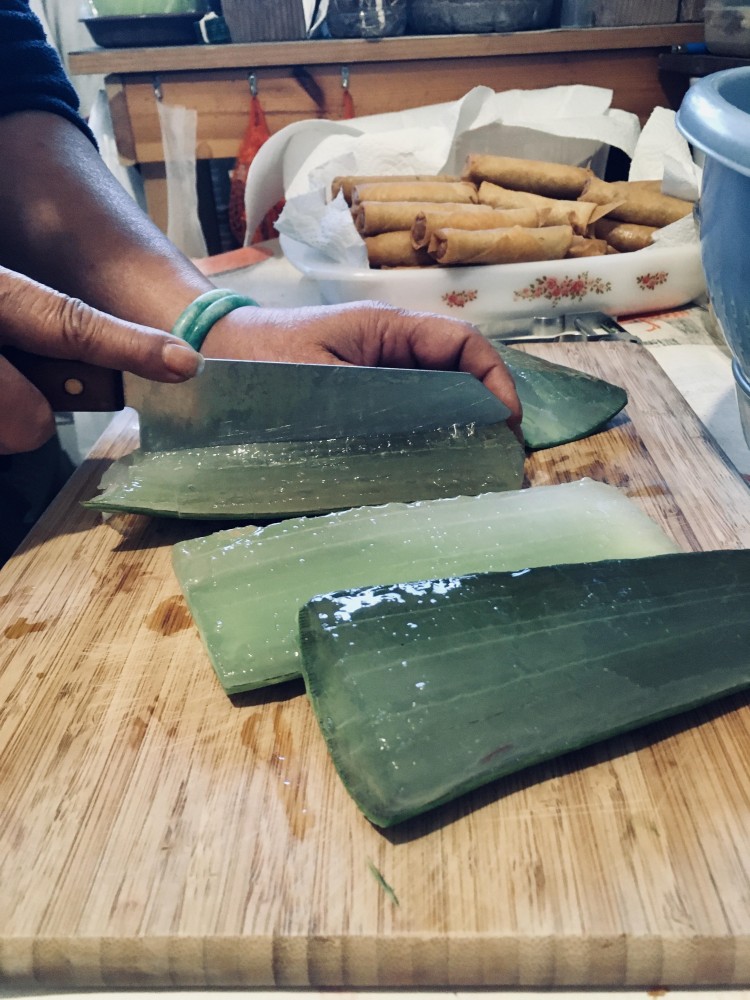 Aloe vera | préparation de l'Aloe vera