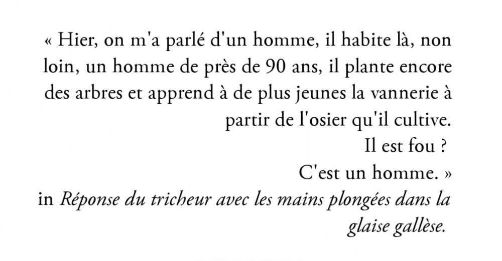 Dédicace - L'homme qui plantait des arbres - Giono | 