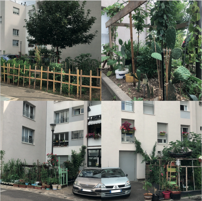 jardin au pied d'immeuble | 2020