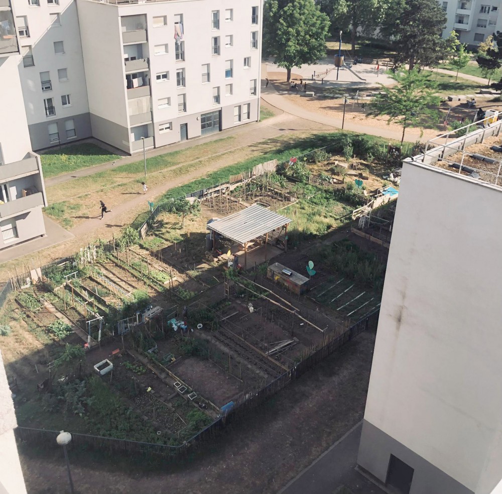 Jardin du coin vue aérienne | 