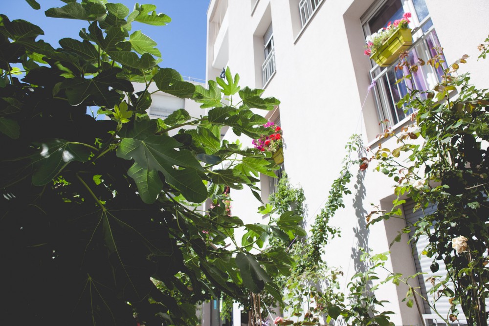 jardin en pied d'immeuble | 