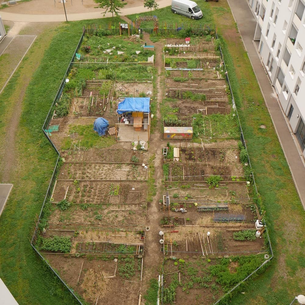 Le Jardin du coin | mars 2019