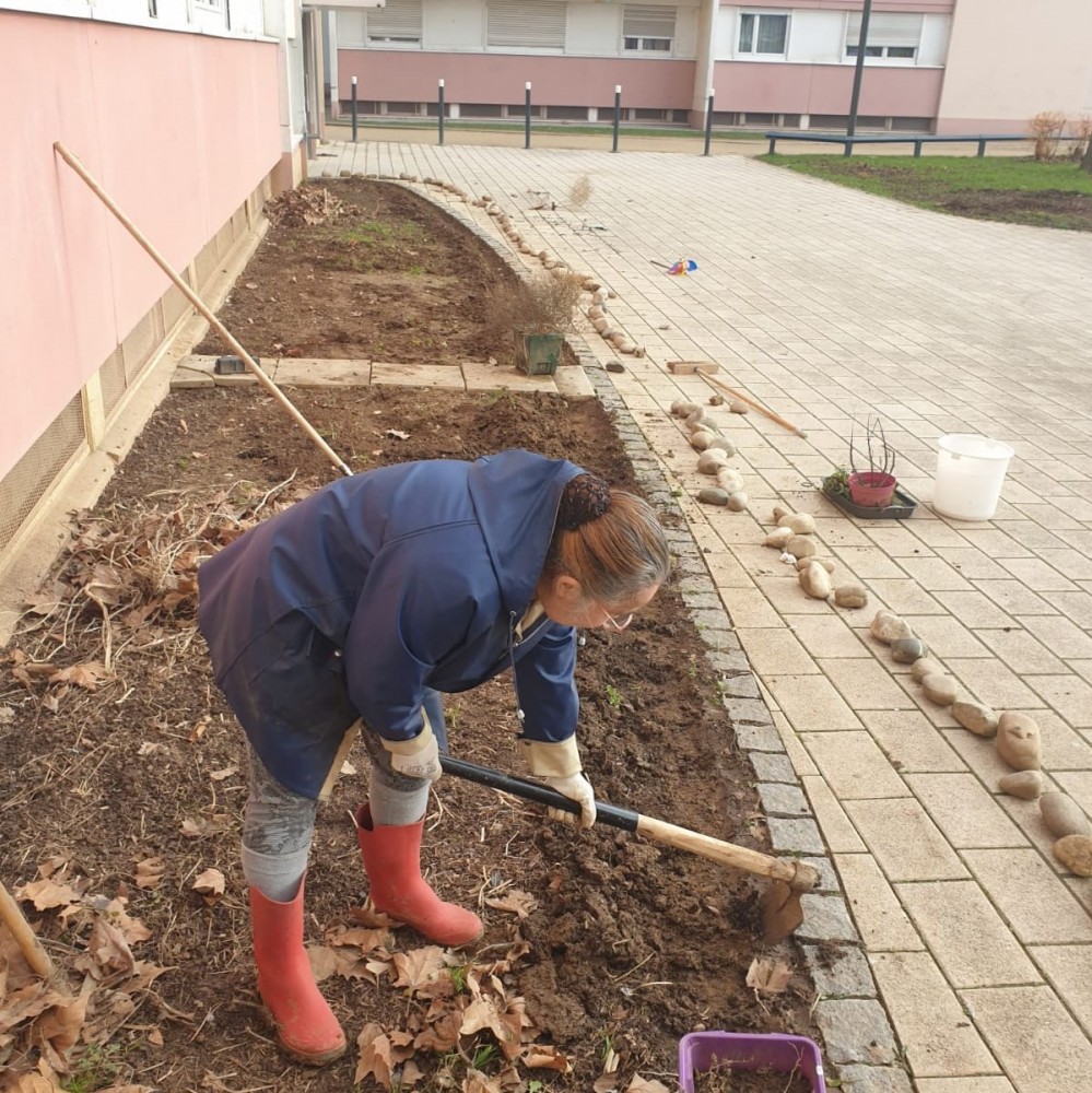 Le potager en pied d'immeuble, à l'automne | 