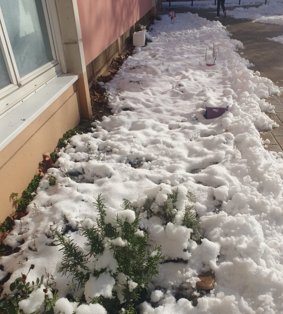 Le potager en pied d'immeuble, en hiver | 