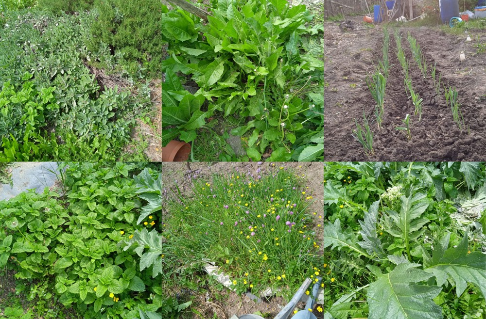 Les cultures et les sens | Les cultures d'Ali