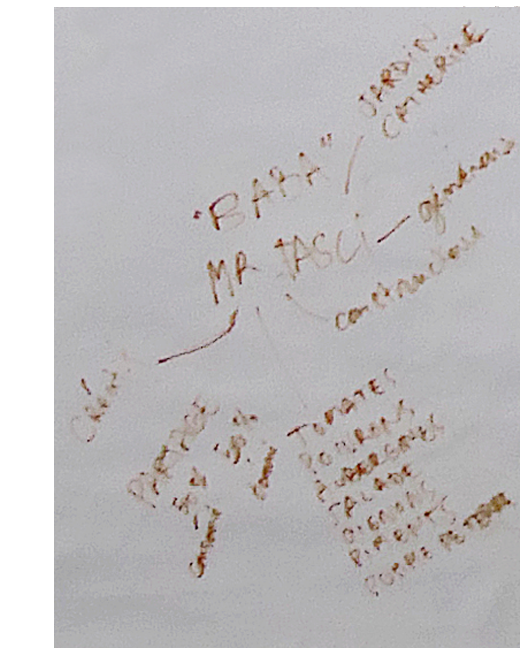 Nappe de repas-atelier du 16 février 2020_01b_mustafa-tasci | Nappe de repas-atelier du 16 février 2020_01b_mustafa-tasci