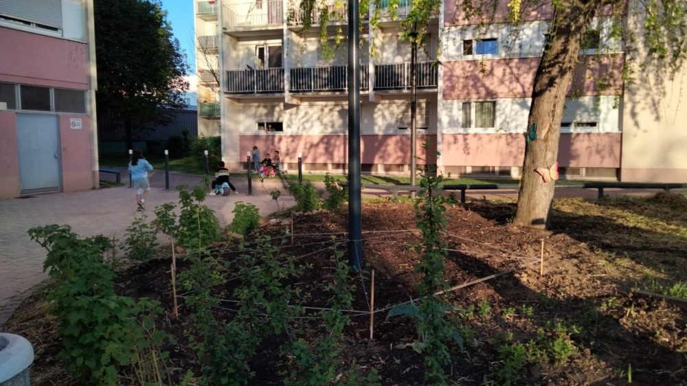 Potagers pied d'immeuble - printemps | Le potager en pied d'immeuble, au printemps : préparation des futures cultures de légumes